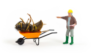 home pest control service grove city